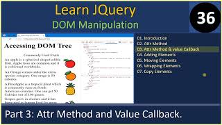 Modify DOM | Part 3 - Attr method and value callback | JQuery Tutorials #36