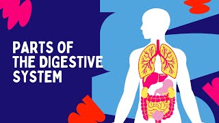 Digestive System | The Dr. Binocs Show | Learn Videos For Kids