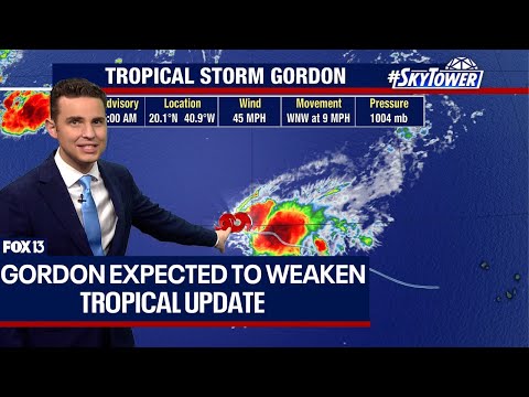 Se espera que la tormenta tropical Gordon se debilite