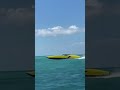 The Lambo Boat tiktok officialboatsgonewild