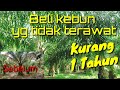 Contoh penanganan kebun yang tidak terawat @kopiinspirasi8193