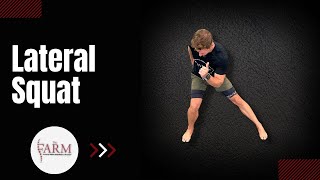 Lateral Squat