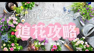 追花功略基礎篇「成長組合」