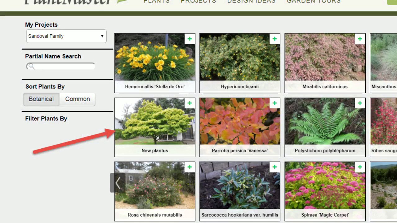 Base Editing Plants At Shannon Mcelroy Blog