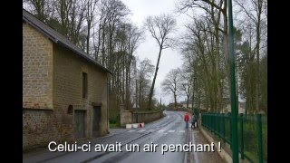 Abattages d'arbres au parc de la propriété Claudel