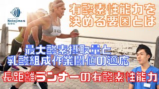 長距離ランナーの​有酸素性能力（有酸素制能力を決める「最大酸素摂取量：VO2max」「乳酸性作業閾値：LT」そして「ランニングエコノミー：RE」とは）／Nakajima整骨院