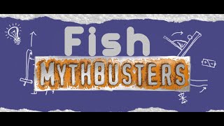 Fishbusters ep1 - HOW good are algae eaters?