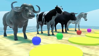 Choose the right KEY Challenge With Bufallo Cow Cartoon Zebra Bull | Wild Animals - ANIMATION TV
