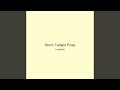 Storm Twilight Pulse