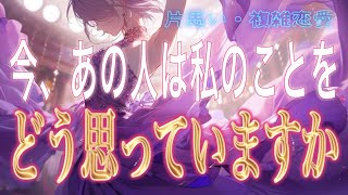 【必要な人】【相手の気持ち】片思い複雑恋愛タロットカードリーディング🕊️個人鑑定級占い🔮