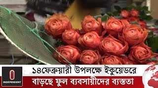 বিশ্বের যেসব দেশে রপ্তানি করা হয় ইকুয়েডরের ফুল | Ecuador Flower | Independent TV