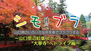 山口県の紅葉スポット”大寧寺”へドライブ編