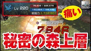 【リネレボ】Lv.220到達！秘密の森上層（エリダン）へ！敵の火力たけぇ...《リネージュ2 レボリューション》