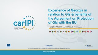 CarIPI - Act. 3 - Experience of Georgia agreement on protection of GIs with the EU