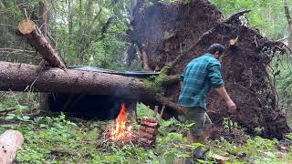 Building bushcraft Shelter @camping 2 Days bushcraft trip