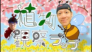 理科の授業を歌で勉強！【植物観察ラップ】植物用語の覚え方！ #中1理科 #教科書のラップ化 #hakasemama #Co慶応