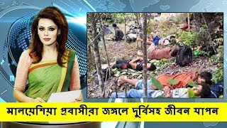 মালয়েশিয়া প্রবাসী ভাইদের শেষ জায়গাকেই জঙ্গল ! নাজেহাল জীবন যাপন