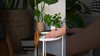 Best Indoor Plants for beginners #indoorplants #homedecor #viral #shorts #youtubeshorts #plants