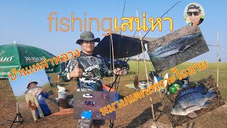 ตกปลานิลเขื่อนลำปาว หมายบ้านเหล่าหลวง fishingเสน่หา