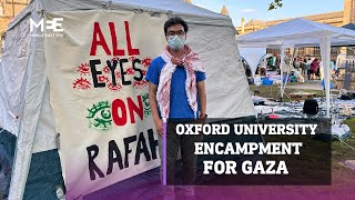 “All Eyes on Rafah” - students at Oxford University encampment for Gaza speak to MEE