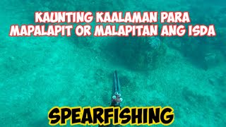 TIPS para malapitan or mag palapit ng isda | SPEARFISHING