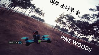 여주 소나무수숲 드론 비행 Yeoju Pine woods | Astro X5 Johnny fpv edition drone flight