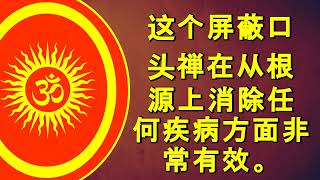 这个 口头禅 盾非常有效地从根源上消除任何疾病。