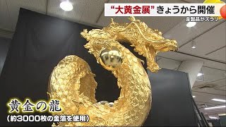 金製品１０００点がズラリ「改めてみてかっこいいな」松山市内のデパートに「大黄金展」【愛媛】 (24/11/20 19:02)