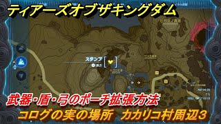 ティアキン　コログの実の場所　カカリコ村周辺３　武器・盾・弓のポーチ拡張方法　＃１０１４　【ゼルダの伝説ティアーズオブザキングダム】