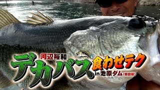 河辺裕和のデカバス食わせテクin池原ダム