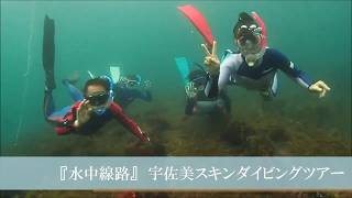 「水中線路」　日帰りスキンダイビングツアー