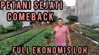 HADIR KEMBALI, SANG PETANI , HARGA EKONOMIS ADA ANTHURIUM JUGA LOH