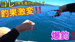 【筏釣り】とにかく爆釣！！休む暇なし！！