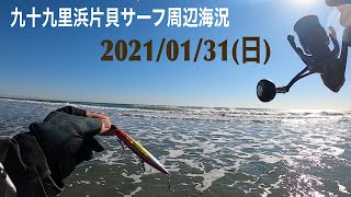 1月31日海況【千葉県九十九里浜】サーフヒラメ狙い。