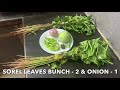 sorrel leaves u0026 brinjal curry recipe gongura vankaya curry gongura vankaya kura గోంగూర వంకాయ