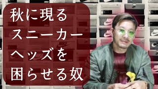 秋に出現するスニーカーの敵とは