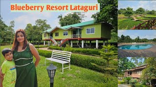 Blueberry Resort Lataguri || Teagarden and Jungle View Resort in Lataguri 🌳 🏡