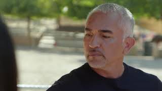 Cesar Millan: Jaký pán, takový pes