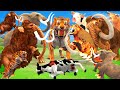 Giant Tiger Attack 10 Cow Buffalo Saved by 10 Mammoth Elephant vs Sabertooth | Animal Revolt Tv