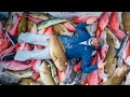 36 Hrs at Sea...Filled boat with Most Expensive fish (Catch Clean Cook)