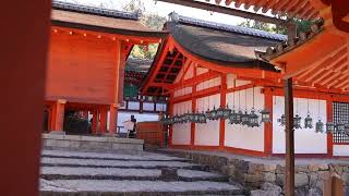 【Kasugataisha Shrine】Naishimon Gate