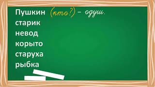 Чем различаются одушевленные и неодушевленные имена существительные?