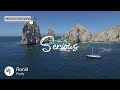 Best Electronic Serious Music for Video [ Roniit - Purify ]