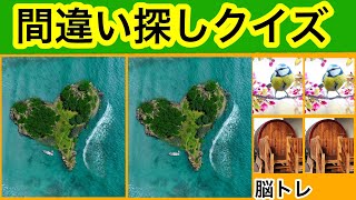 【間違い探しゲーム】少しづつ難易度UP！まちがいを見つけ出そう【全５問】#115