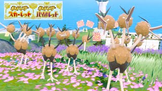 ドードリオ６匹に囲まれて癒されピクニック【ポケモンSV】