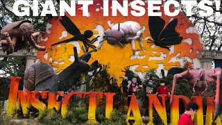 Giant Insects in Pampanga