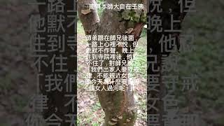 禪宗故事一：放下兩位禪者走在一條泥濘的道路。走到一處淺灘時，看見一位美麗的少女在那裡躑躅不前。由於她穿著絲綢的羅裾，使她無法跨。。師兄說罷#禪宗小故事#放下#shorts #睡前故事#放下吧#睡個好覺