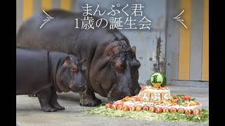 一緒にとべZOO「まんぷく君1歳の誕生会」