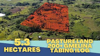 (Vlog#81) 5.3has Pasture Land Price : 60pesos per Sqm @Cuyapo, Nueva Ecija With Aerial View