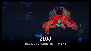 Leśna Szajka Kwaśny Las 2019 - Zloj [4K]